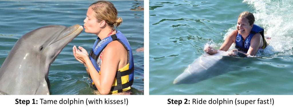 Dolphin Ride