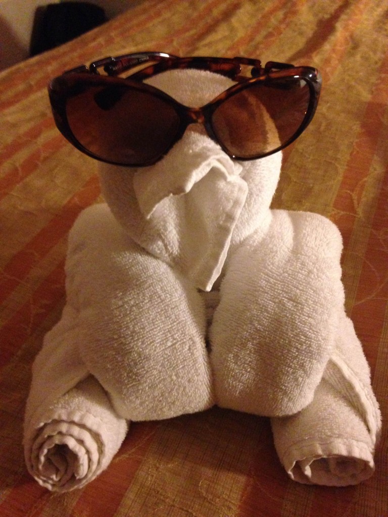 I think we all know that the towel animals are legitimately the best part of a cruise, am I right?