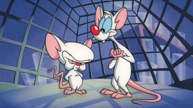 {Source} I know, they're laboratory mice, whose genes have been spliced... not rats. 
