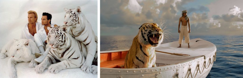 Real Tigers: Stripes and Teeth, Talent and Danger {Source and Source}